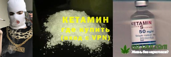 стаф Новозыбков