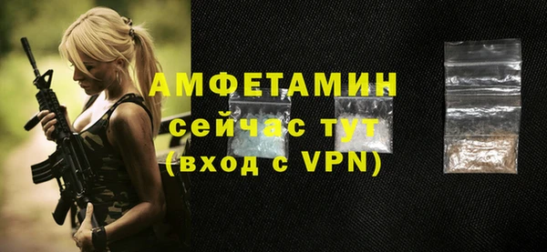 стаф Новозыбков