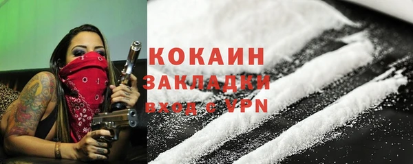 стаф Новозыбков