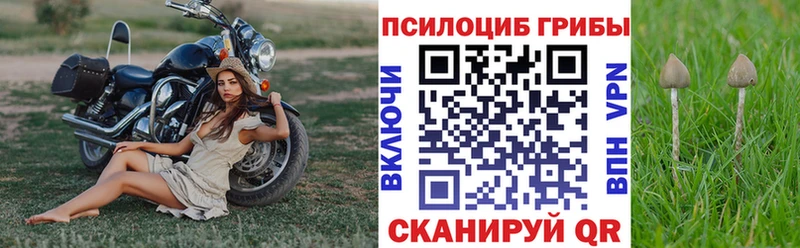Галлюциногенные грибы Psilocybine cubensis Южноуральск