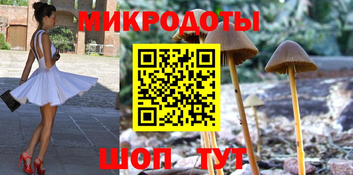 закладка  Вход с VPN  Южноуральск  Псилоцибиновые грибы мицелий 